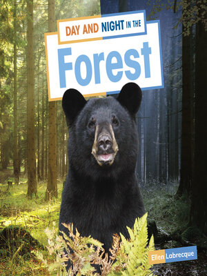 cover image of Day and Night in the Forest